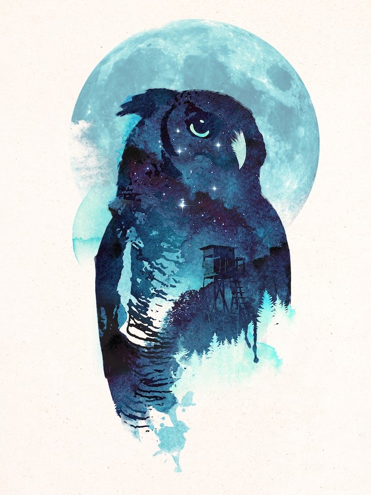 Midnight Owl