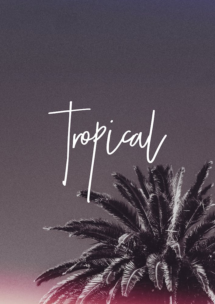 Galaxy Eyes Tropical16