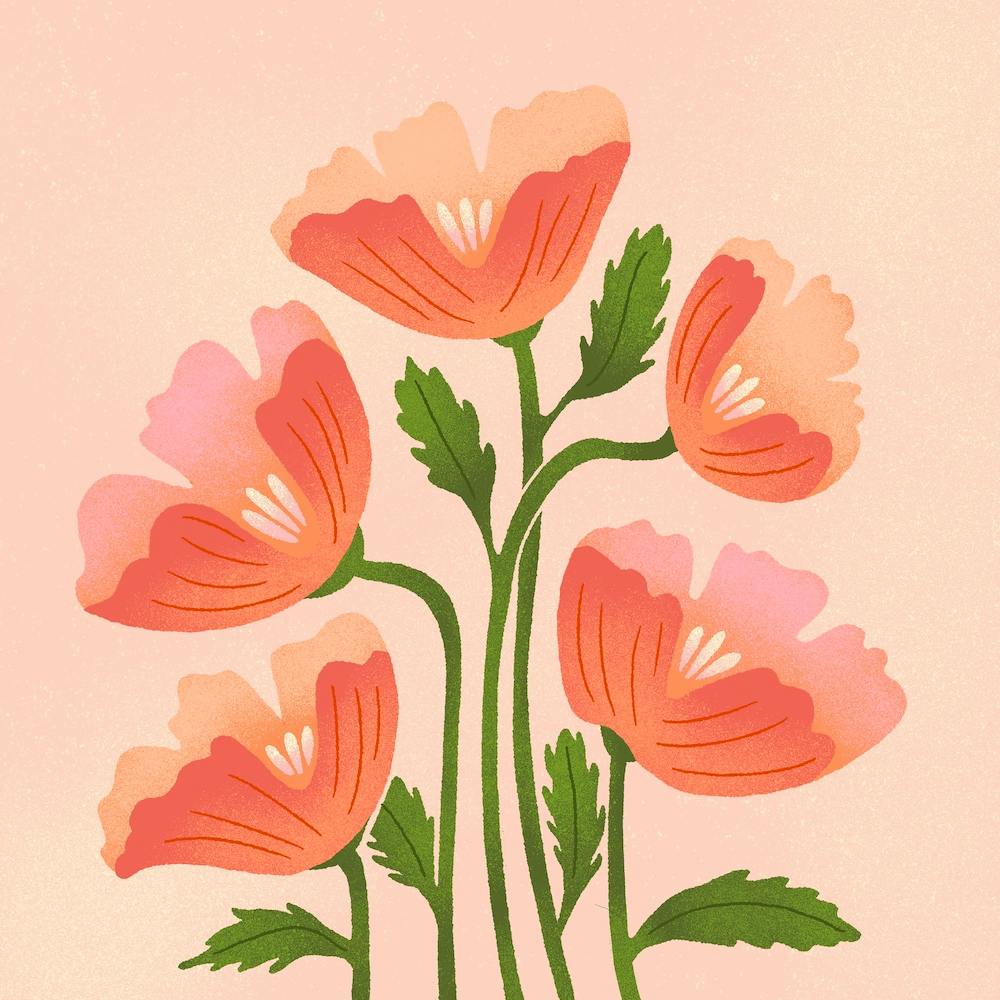 California Poppies Square