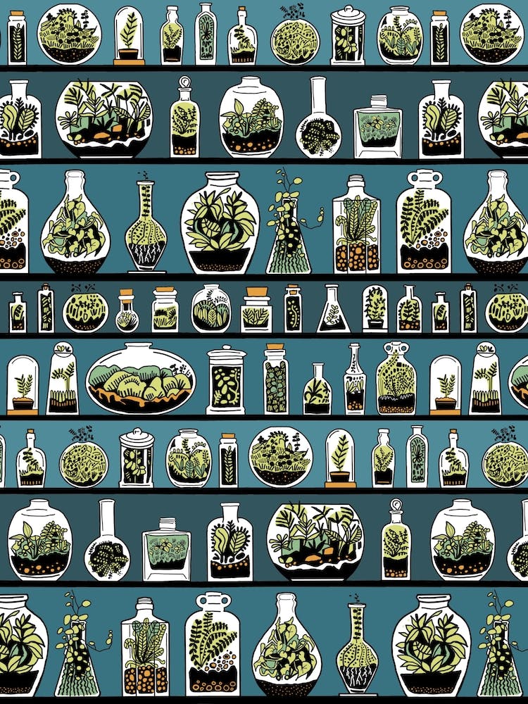 Terrarium Bottles