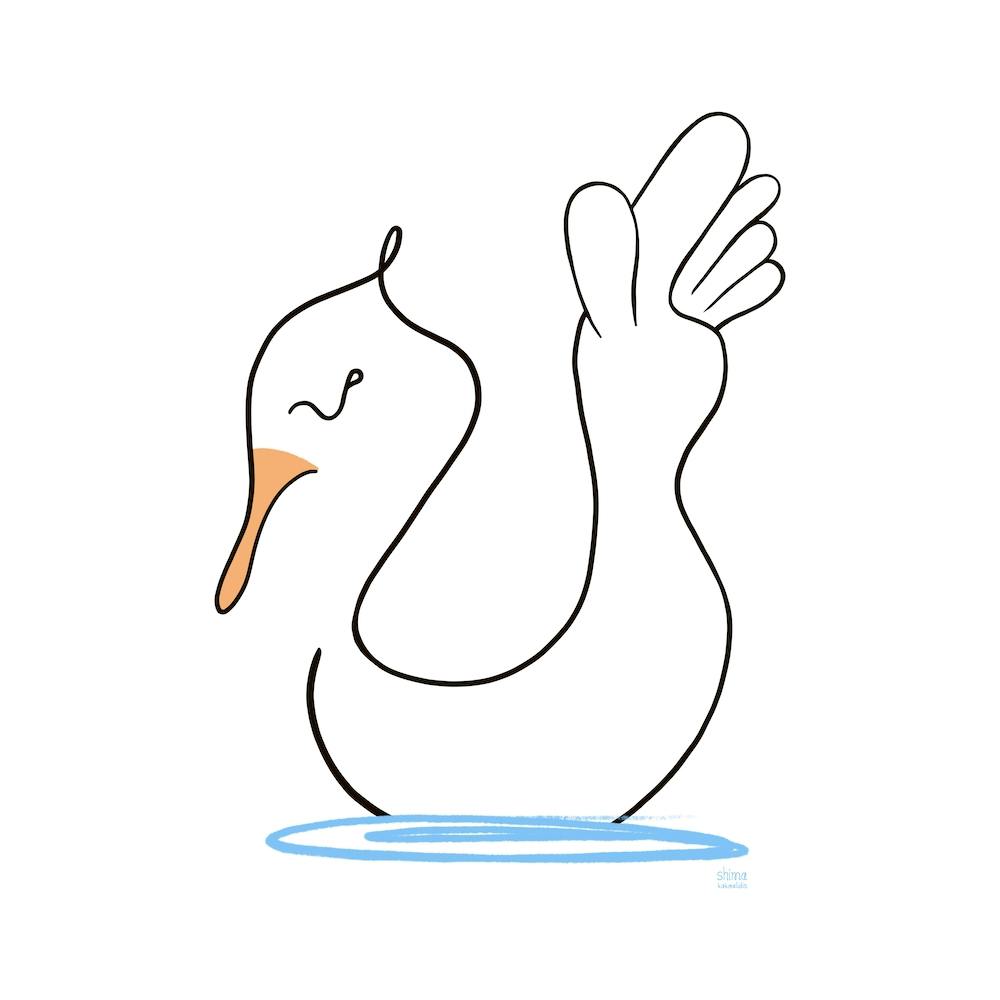 Scipit Square