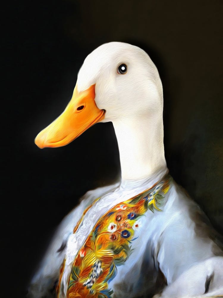 Duck Edwin Le Blanc Pet Portraits