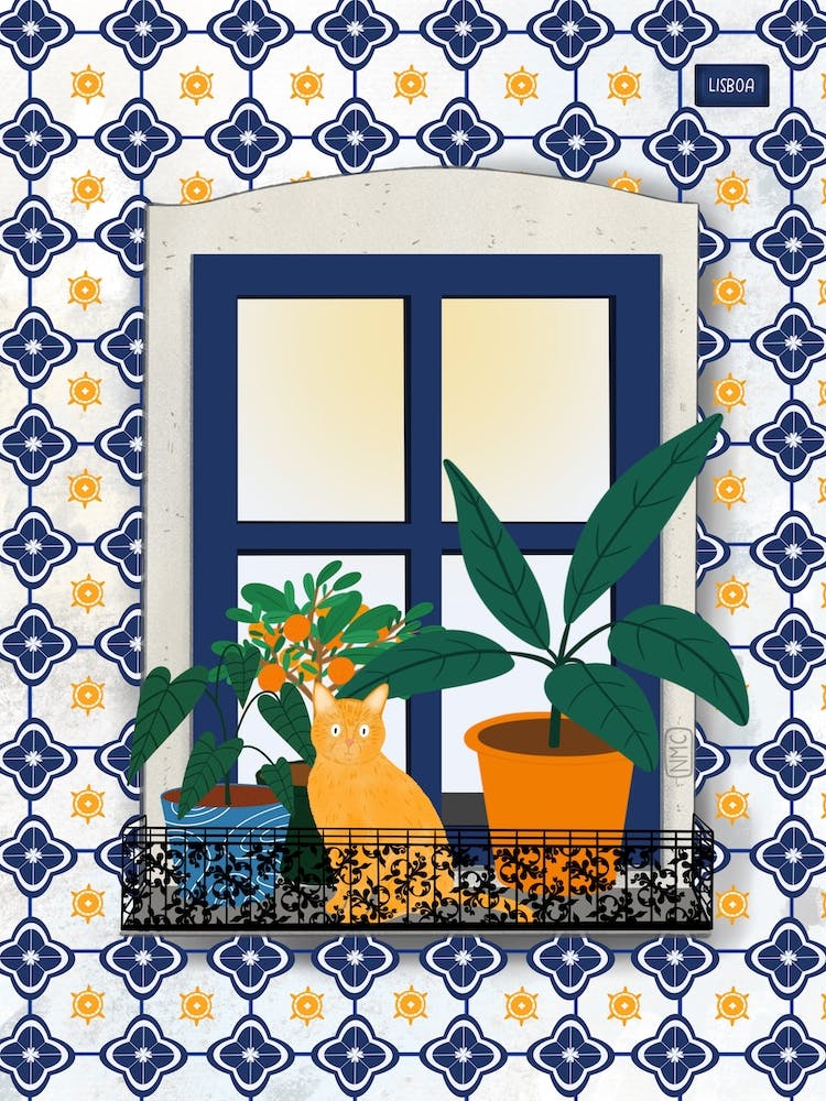 Lisbon Street Window