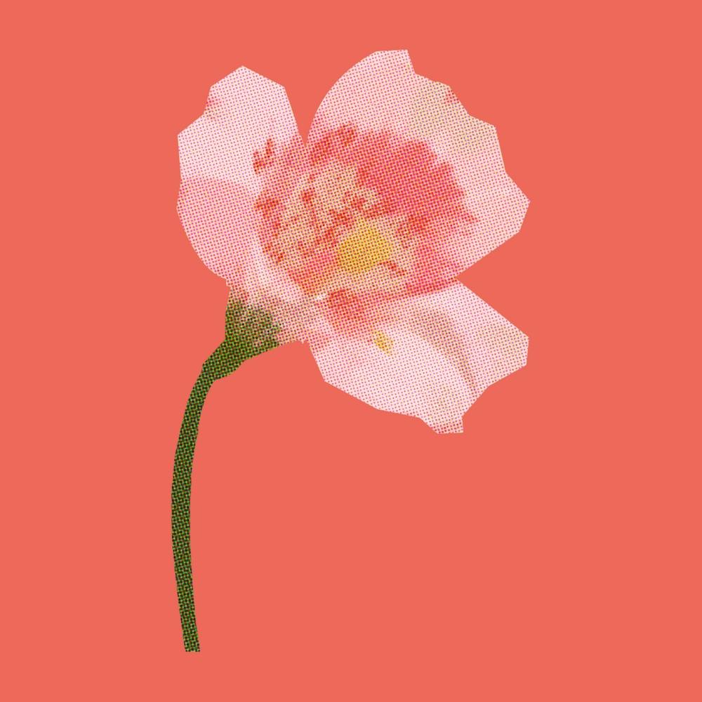 Cutout Flower Square