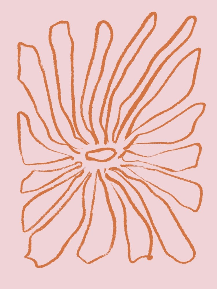 Rosa Blume 3
