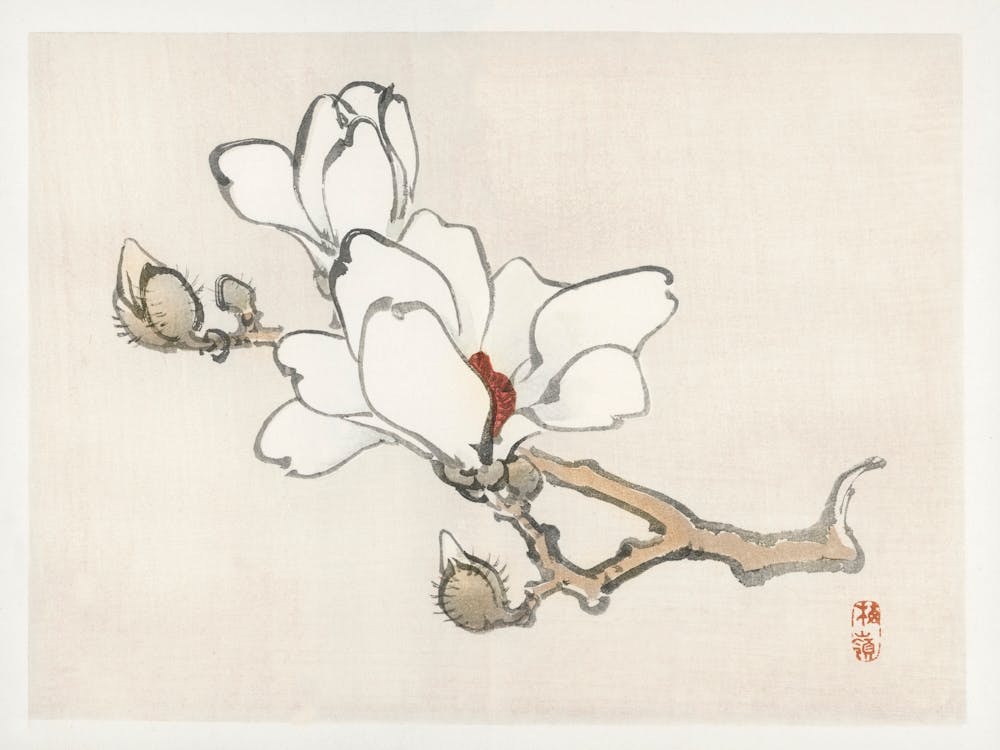 Magnolia, Kōno Bairei
