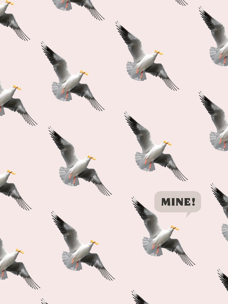 Cheeky Seagull Eating A Chip Coastal White Print