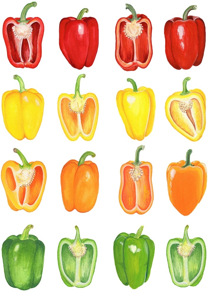 Repeat Pattern Pepper