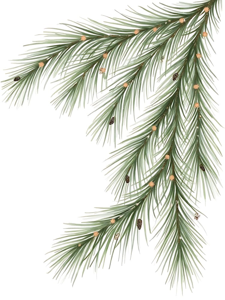 Organic Sage Floral Composition