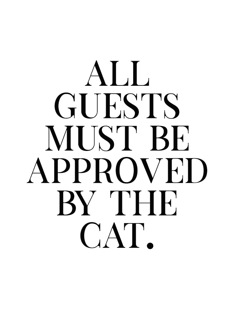 All Guests Must Be Approved By The Cat