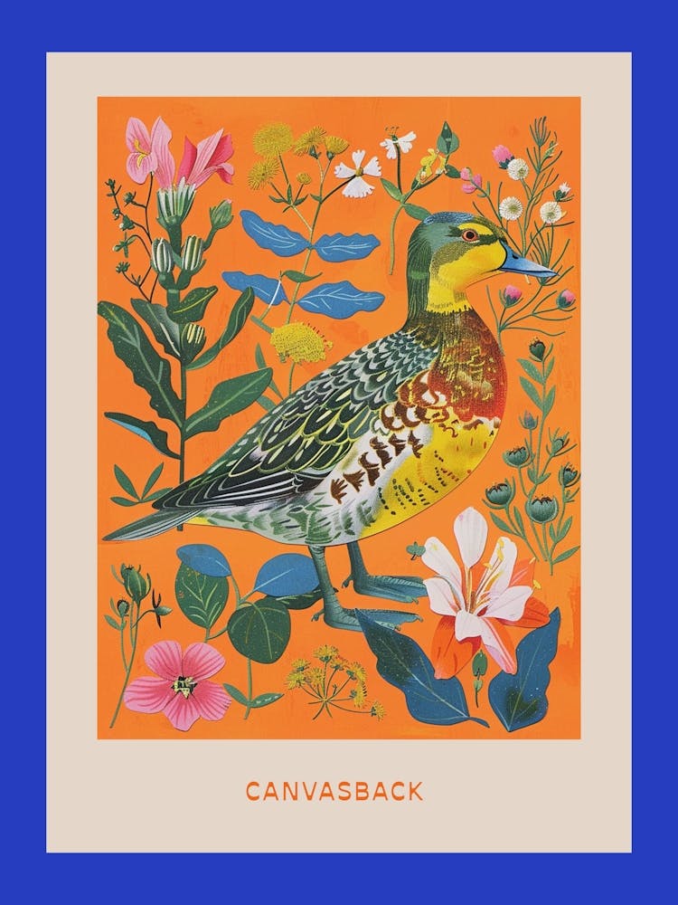 Spring Birds Poster Canvasback 2