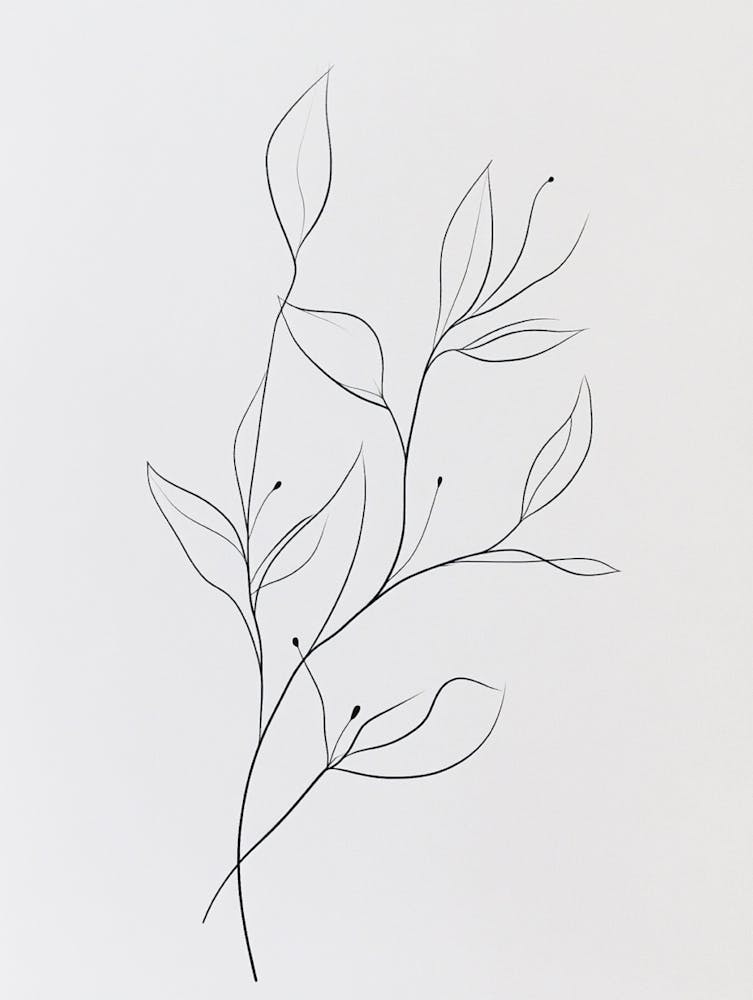 Dessin au Trait D'une Feuille 1