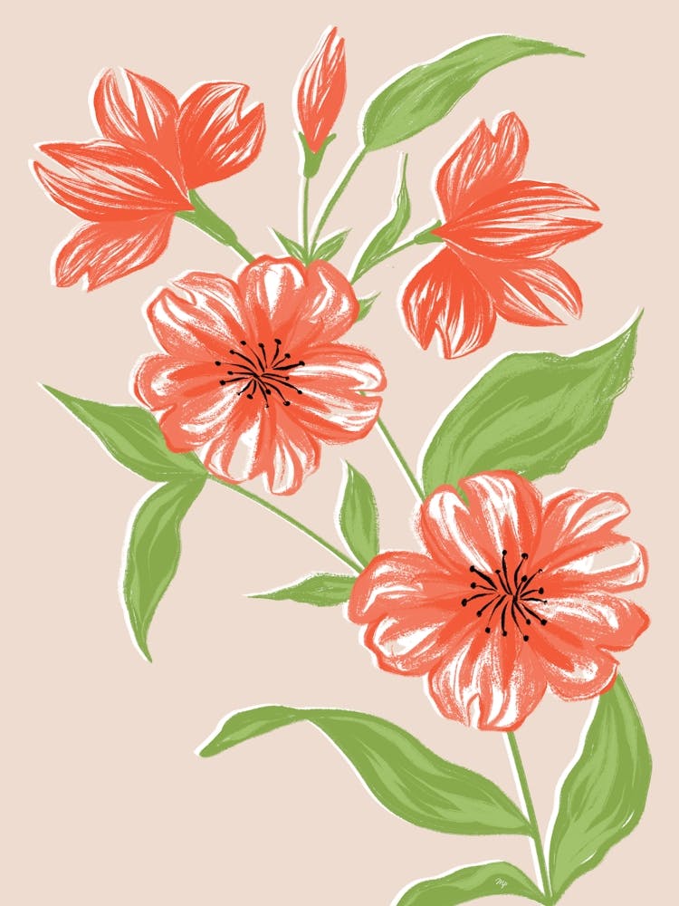 Red Summer Blooms