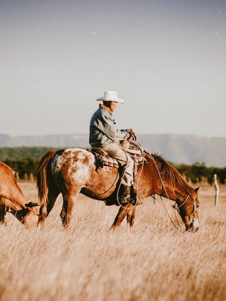 Seasoned Cowboy