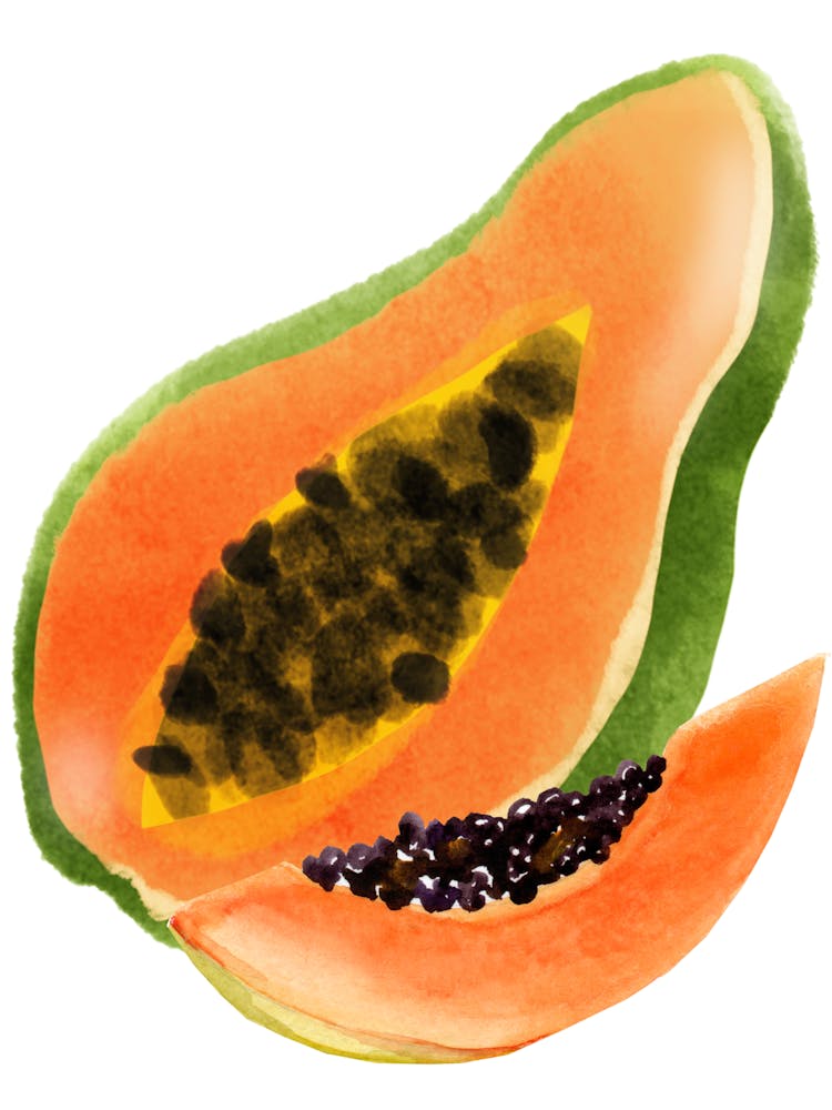 Watercolor Of A Papaya