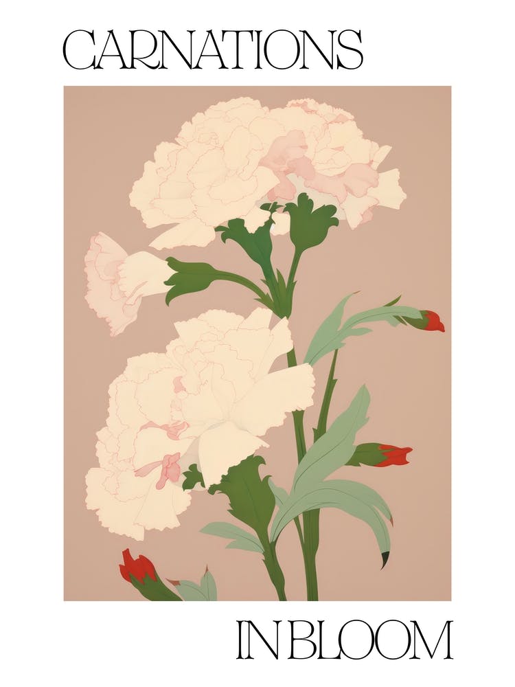 Carnations In Bloom Flowers Bold Illustration 2