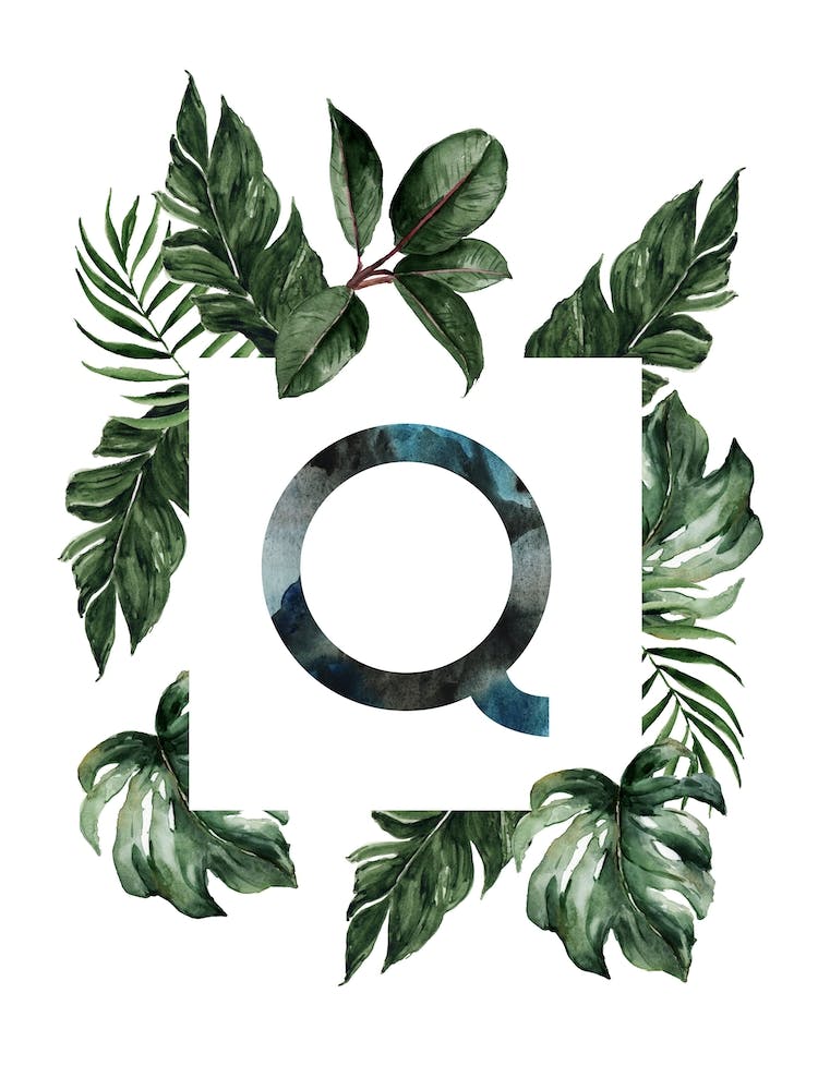 Botanical Alphabet Q