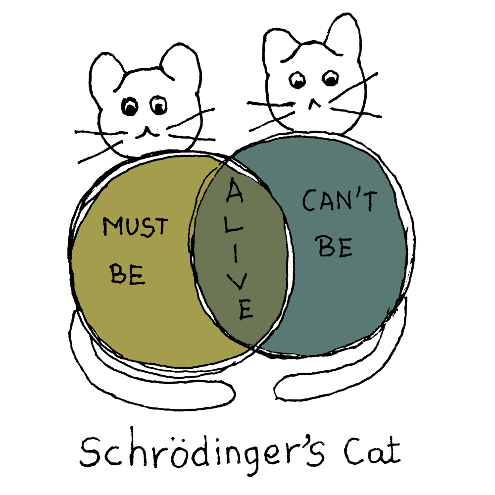 Must Be Alive Schrodinger Cat Funny Scientific Joke