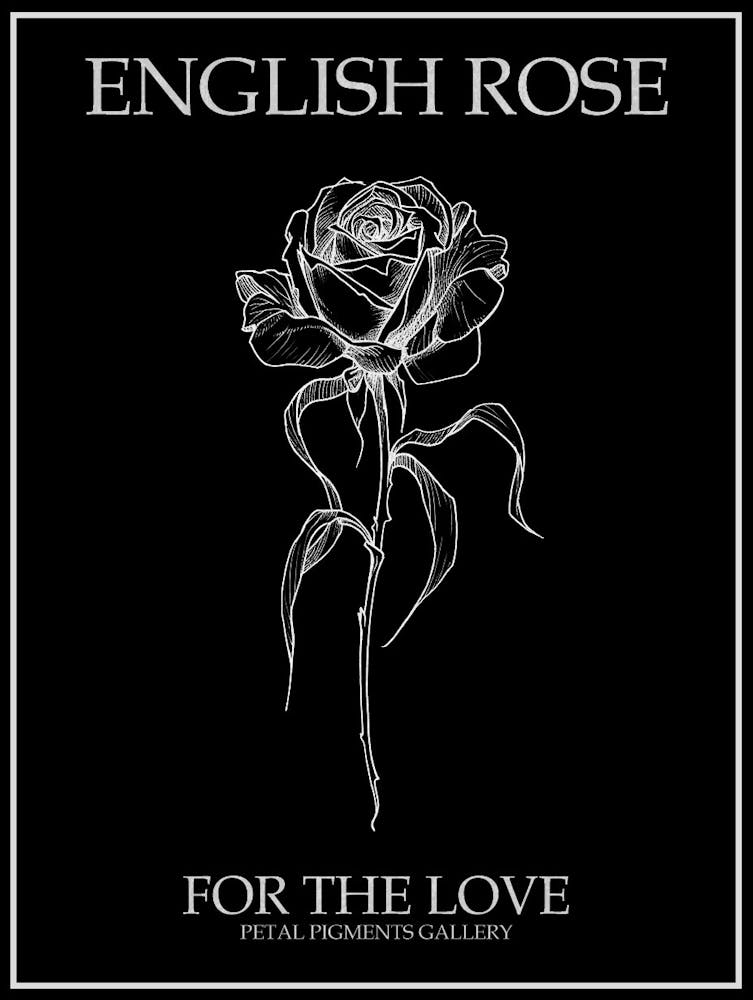 English Rose Black And White Line Drawing 22 Poster Inverted