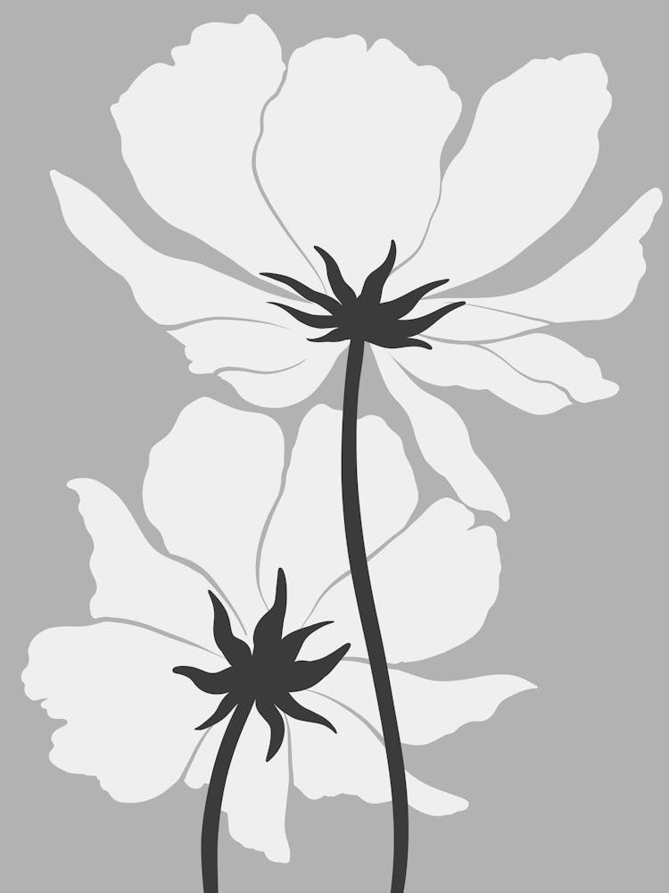 Black And White Flowers 93
