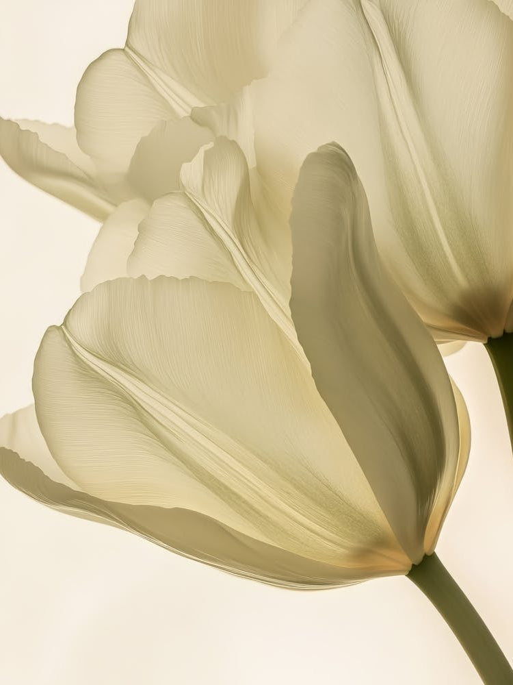 Green Beige Close Up Petals 15