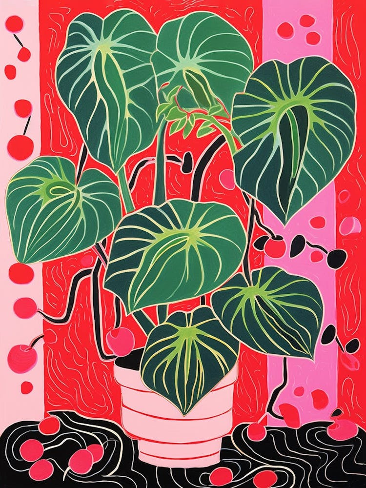 Pink And Red Plant Illustration Monstera 1
