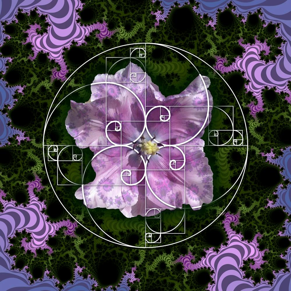 Sacred Geometry Fibonacci Spiral Flowers 4