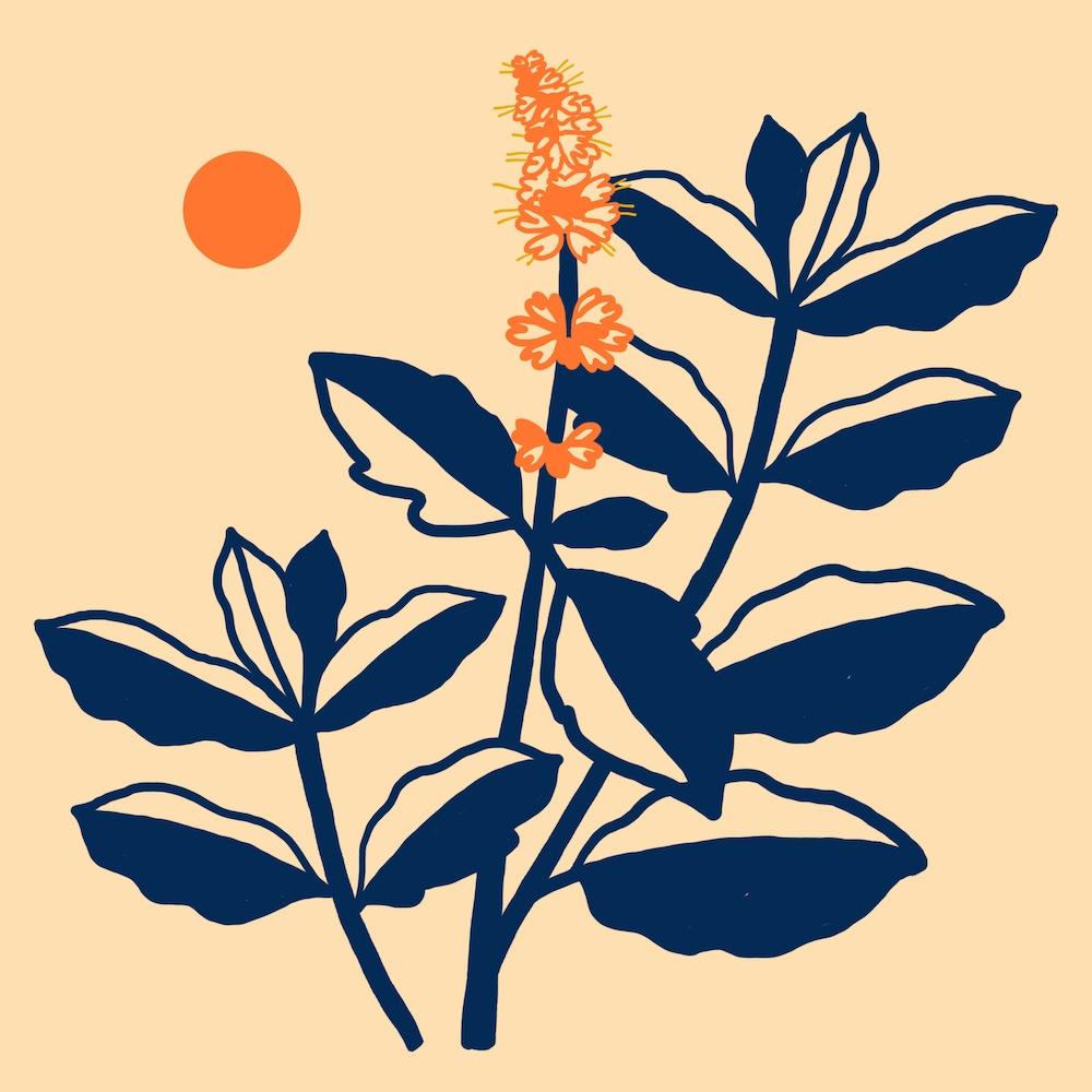 Peppermint Day Square