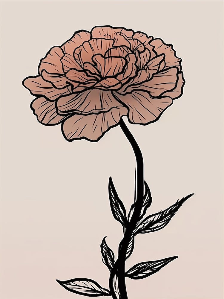 Line Art Marigold Flowers Illustration Neutral 8