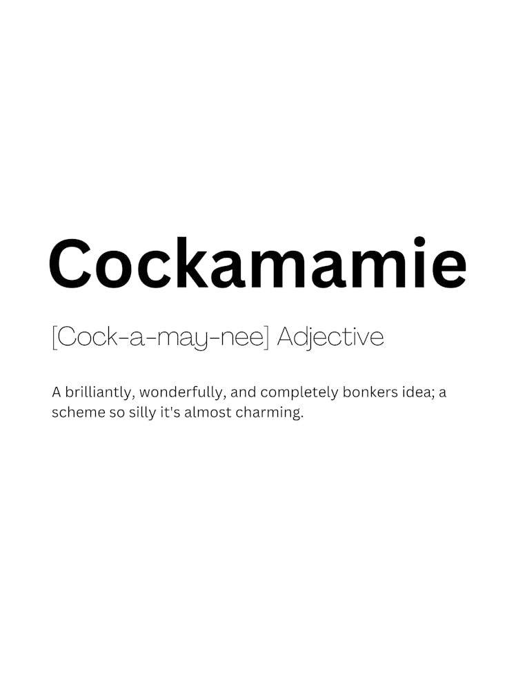 Cockamamie Definition Meaning 1
