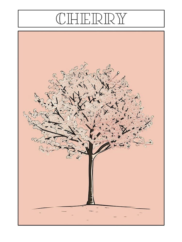 Cherry Tree Minimalistic Drawing 2 Poster