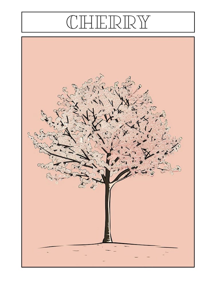 Cherry Tree Minimalistic Drawing 2 Poster