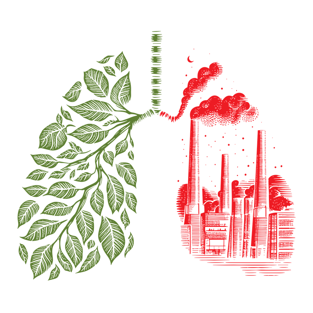 Lungs Of The World