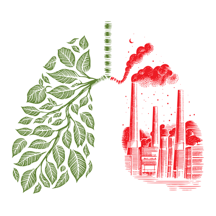 Lungs Of The World