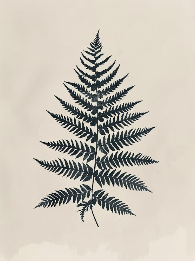 Fern Plant Minimalist Illustration 5