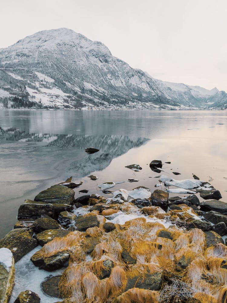 Icy Fjord Scenery
