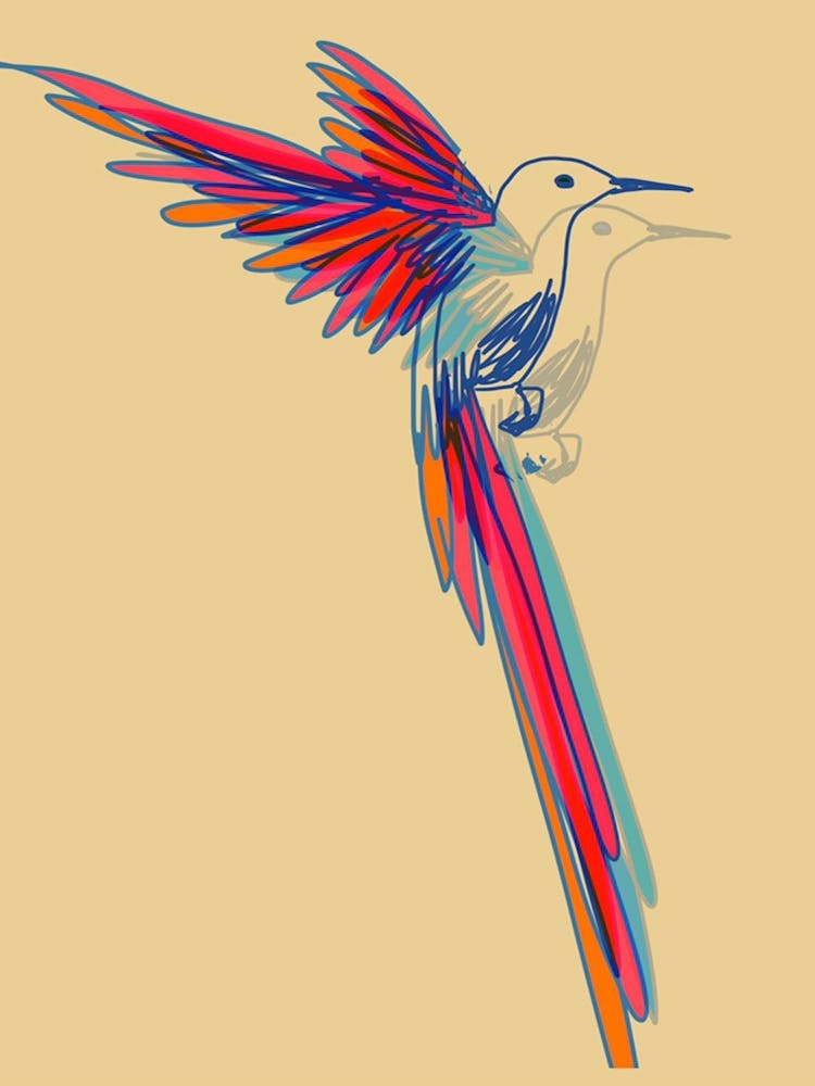 Hummingbird002
