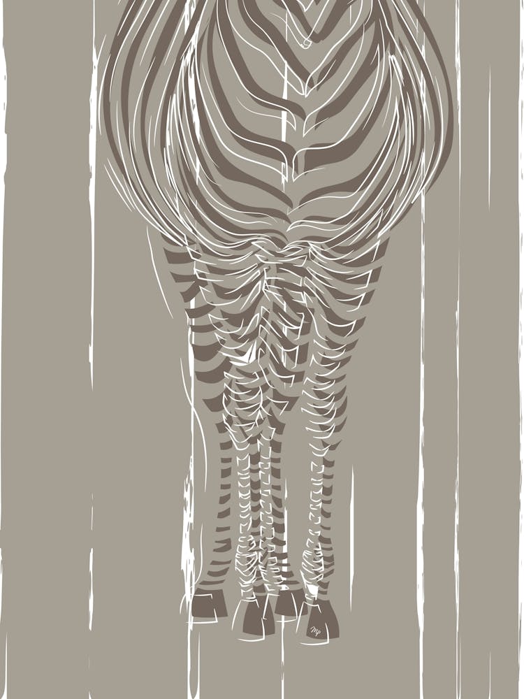 Mocha Zebra