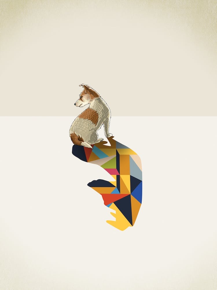 Walking Shadows   Jack Russell