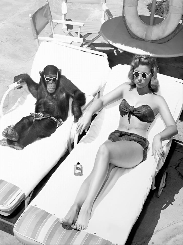 Chimpanzee And Woman Sunbathing, Vintage Black and White Old Photo