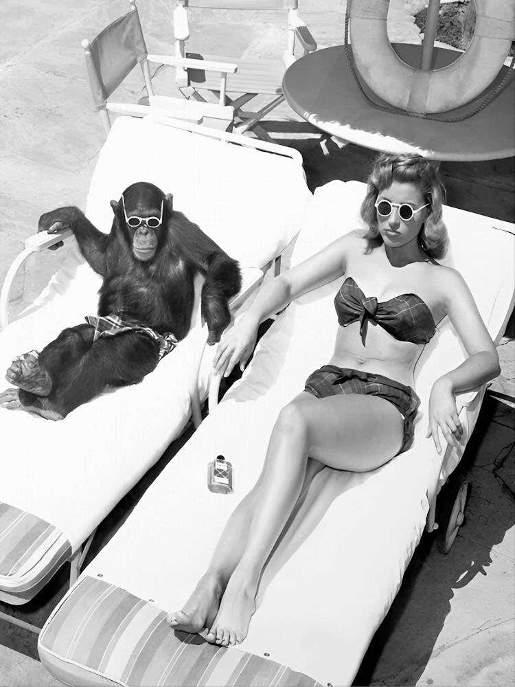 Chimpanzee And Woman Sunbathing, Vintage Black and White Old Photo