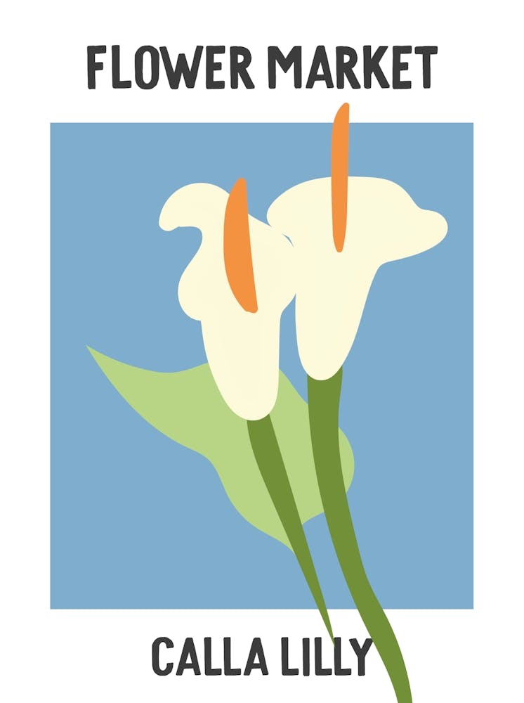 Flower Market Poster Calla Lilly