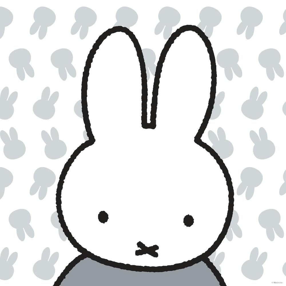 Miffy 2 Square