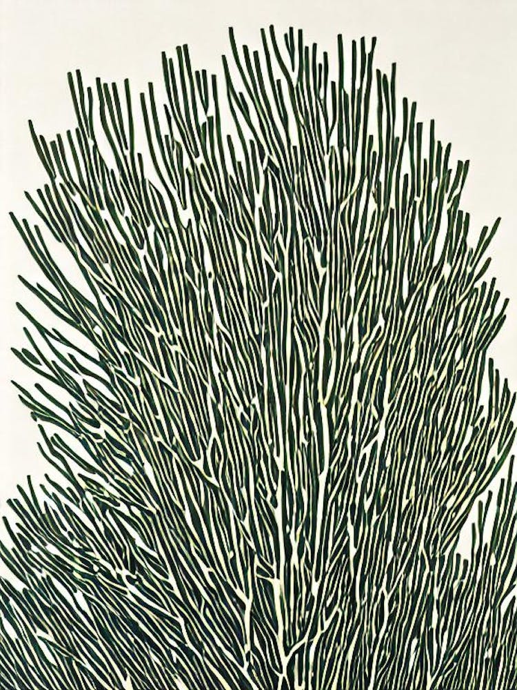 Acropora Suharsonoi Iiii Linocut