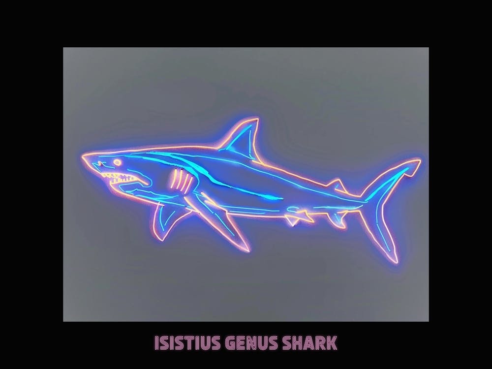 Neon Pink Isistius Genus Shark Poster 3