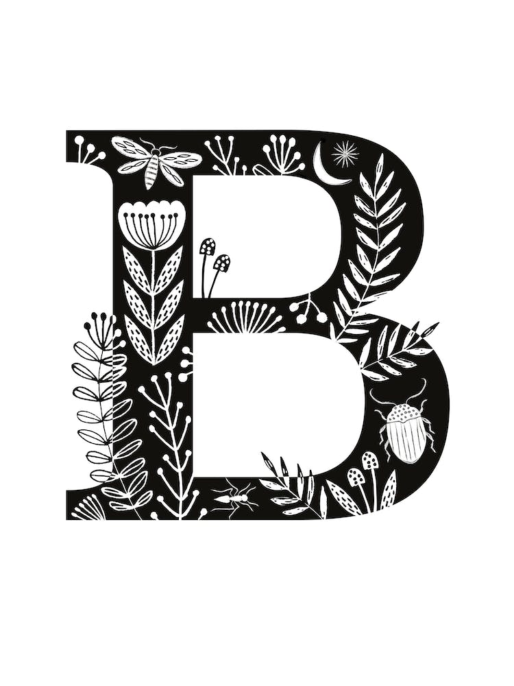 Letter B