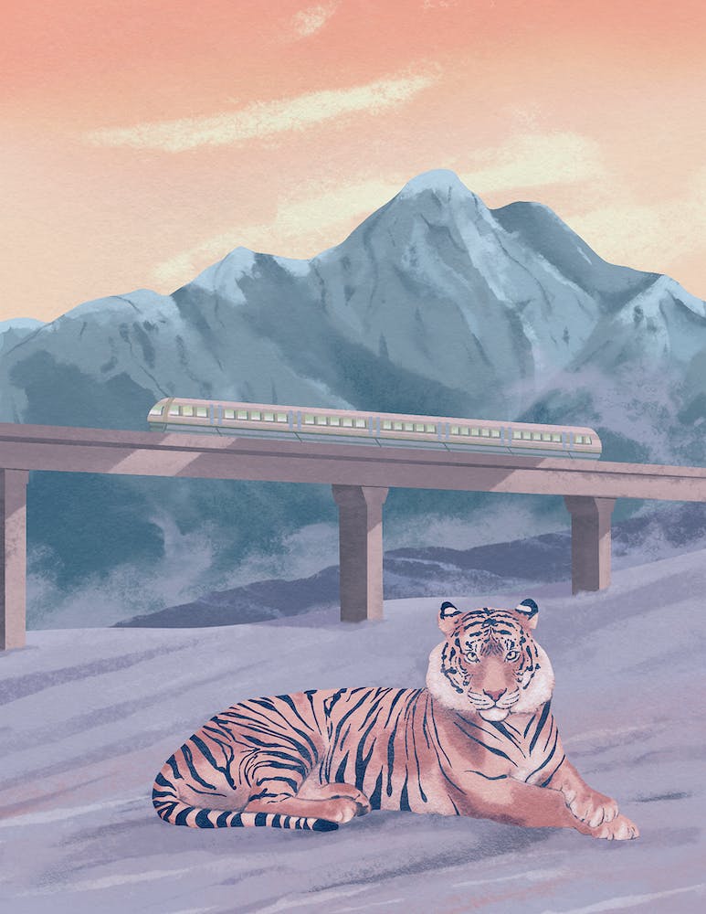Tiger By A Bridge, train, snow, mountain, landscape, illustration, wall art