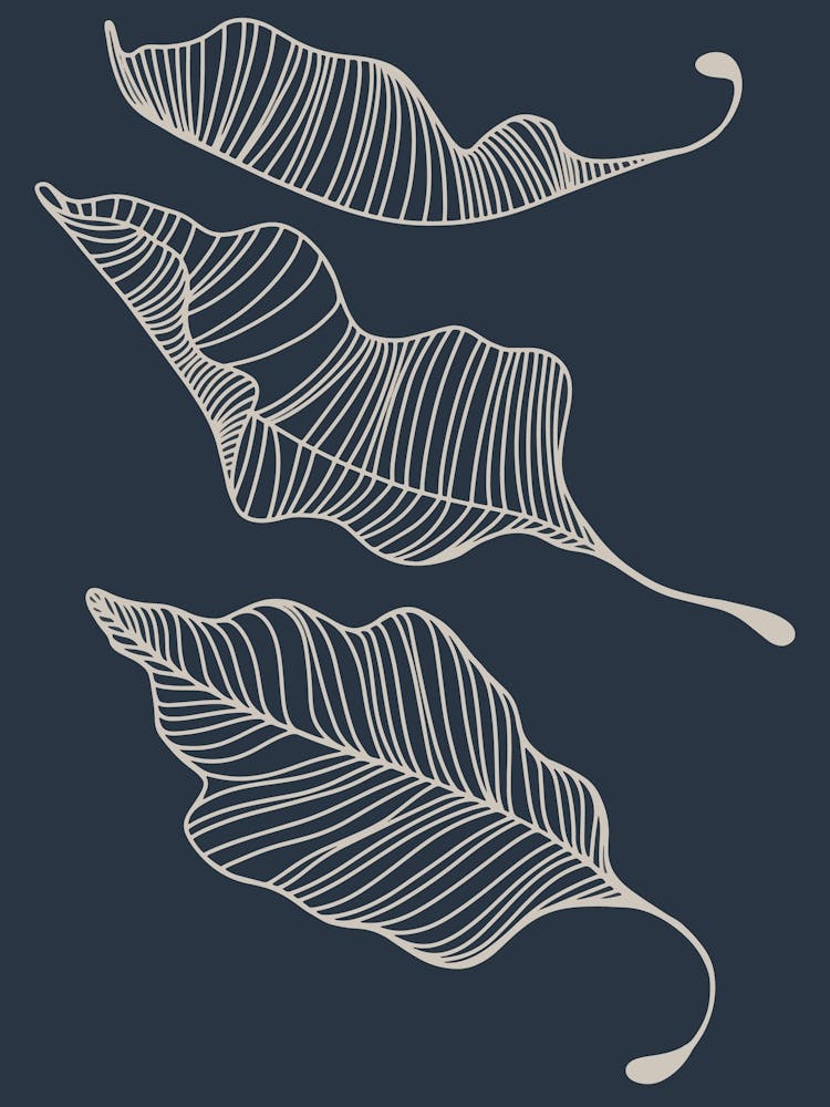 Drifting Leaves