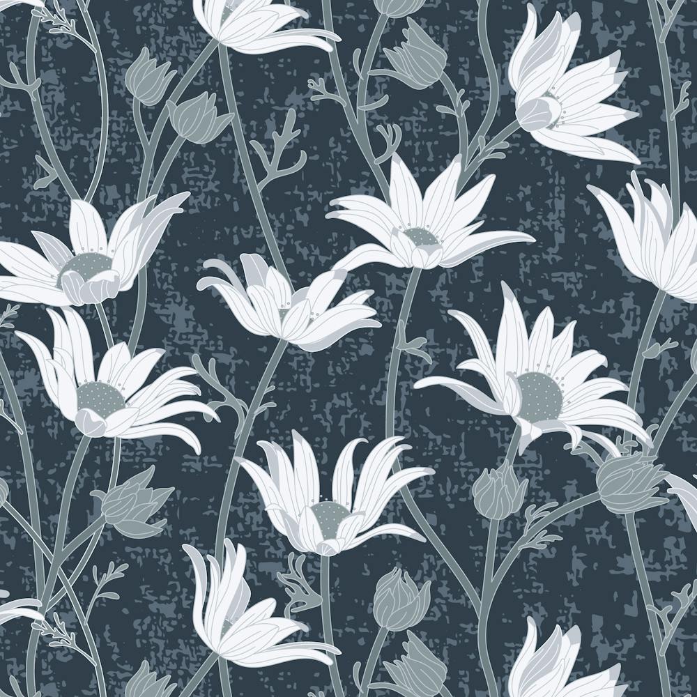 Flannel Flowers Native Australia Blue