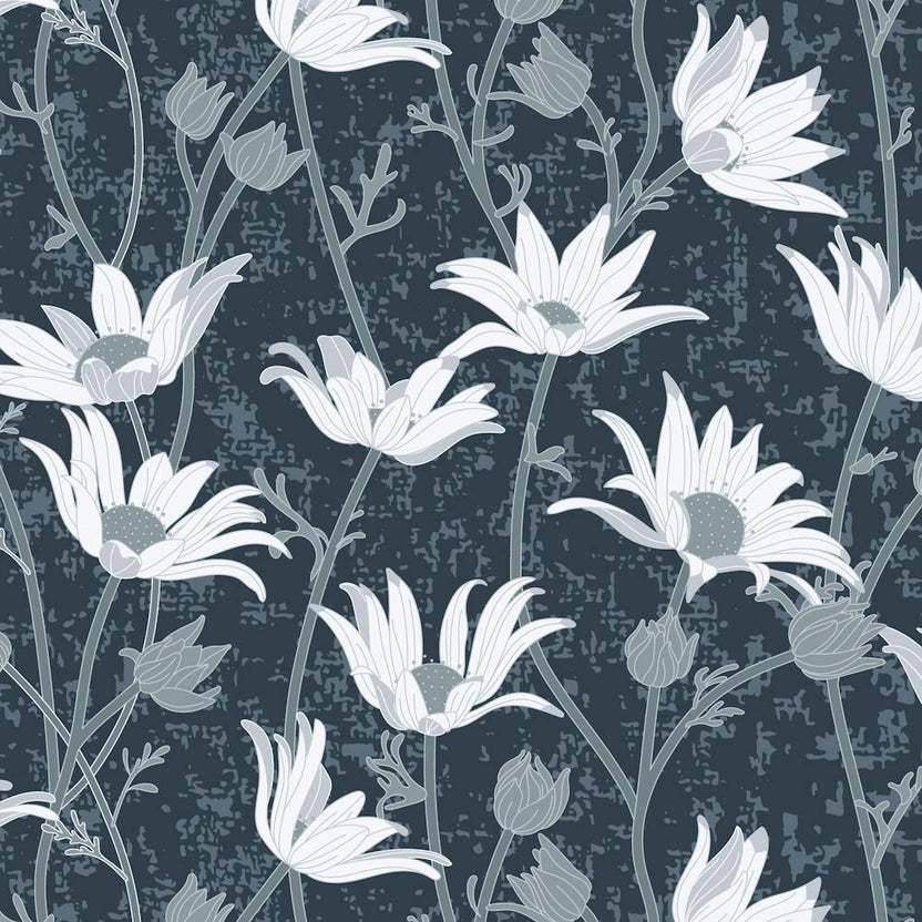 Flannel Flowers Native Australia Blue